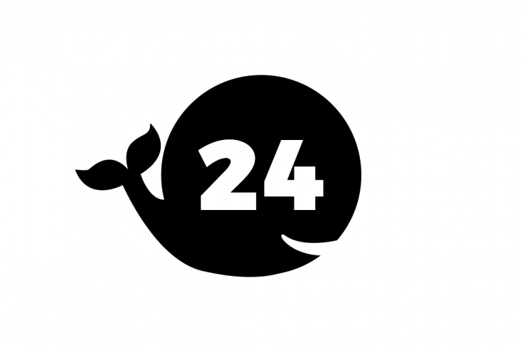 The number 24 superimposed on a circle which has been distorted to look like a whale